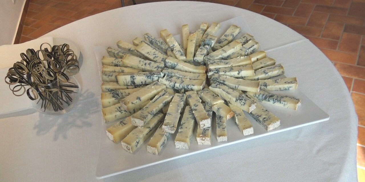 Gorgonzola città del Formaggio 2025. Filippo Durante Delegato ONAF Milano